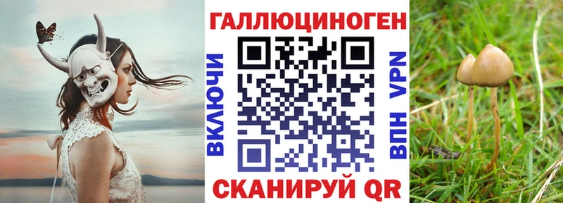 Галлюциногенные грибы ЛСД Купить где Николаевск