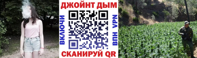 Купить где Николаевск Марихуана White Widow